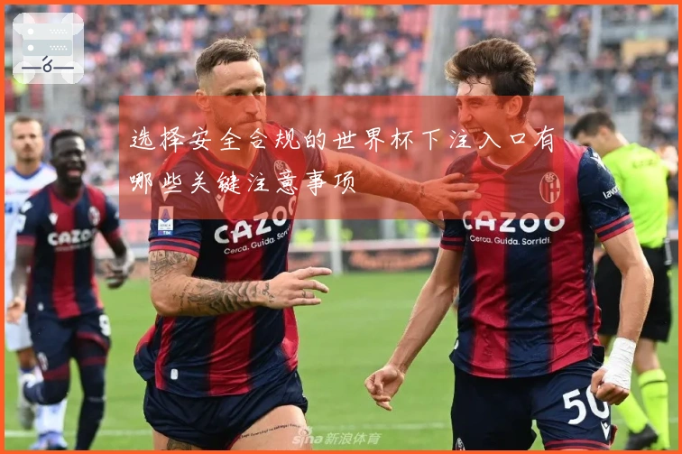 选择安全合规的世界杯下注入口有哪些关键注意事项
