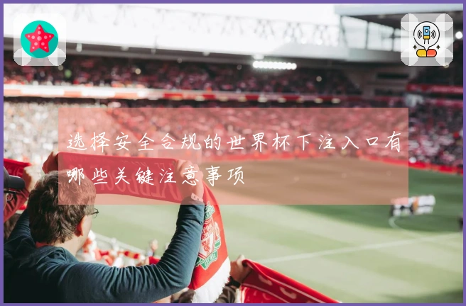 选择安全合规的世界杯下注入口有哪些关键注意事项